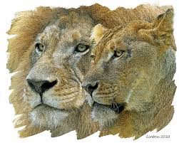 Check spelling or type a new query. African King And Queen Digital Art By Larry Linton