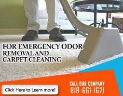 Coastal clean carpets uses a carpet cleaning system that cleans better and safer than steam cleaning. Carpet Cleaning Pacoima Ca 818 661 1621 Fast Expert