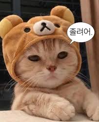 안구정화 기요미