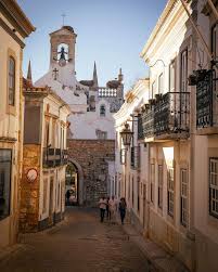 Image result for Faroa involucrata