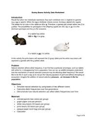 Lab Worksheet Bunny Beans Natural Selection Under Pressure Final Worksheets Christmas Worksheets Kindergarten Worksheet Template