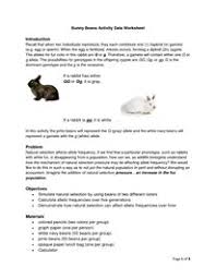 Darwins natural selection worksheet name _____ read the following situations below and identify the 5 points of darwins natural selection. Lab Worksheet Bunny Beans Natural Selection Under Pressure Final Pattern Worksheets For Kindergarten Biology Worksheet How To Memorize Things