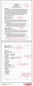 the perfect it contractor resume