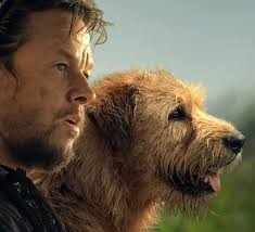 Arthur The King — Tucker Tooley Entertainment