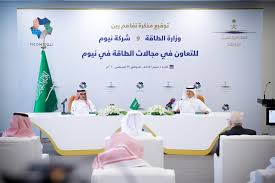 وزارة الطاقة السعودية تساعد في استكمال مشروع نيوم الخليج أونلاين