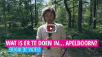 Wat is er te doen in... Apeldoorn? | Voordeeluitjes.nl - YouTube