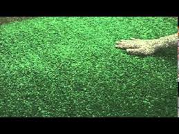 This guide will help you in laying a new, fresh layer. Ezy Mat Synthetic Turf Mat Features And Benefits Youtube