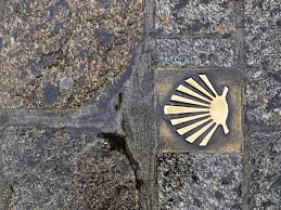 Out en glosario criollo, de lunfardo, jergas y modismos regionales, y palabras similares. The Pilgrim Shell The Origin Of The Symbol Of The Camino Vivecamino