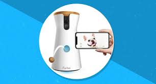 We did not find results for: The Best Prime Day Deal On Furbo Dog Camera With Treat Tosser