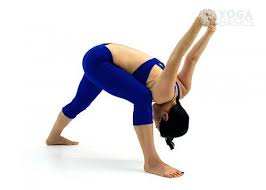 Standing Yoga Poses Standing Yoga Poses Easy Yoga Poses Standing Yoga