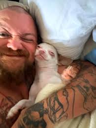 Cheeko says howdy and he loves y'all 😂❤️ chihuahuas are really cool lol 😎