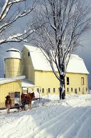 Sunny brow farm, outgate, אמבלסייד la22 0pu אנגליה. Sunny Barn On A Snowy Day Country Barns Old Barns Barn Stables