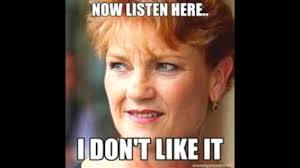 It was also appropriated by satirical character pauline pantsdown, played by simon hunt, in the song i don't like it, which reached the australian top 10 charts. Pauline Pantsdown I Don T Like It Youtube