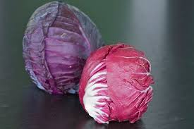 Red Cabbage And Radicchio The Difference And A Salad Recipe Red Cabbage Cabbage Radicchio