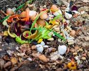 Image of Composting