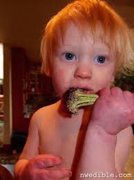 Reader Question} Can You Homestead with Kids?