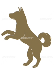 ãç¬ ã® ã¤ã©ã¹ã ç»åãã®ç»åæ¤ç´¢çµæ