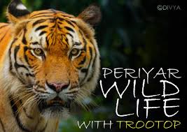 Periyar National Park And Wildlife Sanctuary Is The First And Largest Wildlife Sanctuary In Kerala Aralam wildlife sanctuary is the northernmost wildlife sanctuary of kerala, southwest india. periyar national park and wildlife