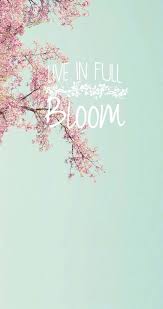 These hd iphone wallpapers and backgrounds are free to download for your iphone 11. Spring Wallpapers For Iphone Best Spring Backgrounds Free Download