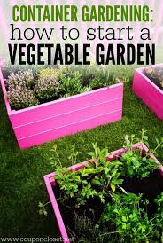 Container Gardening Combination Ideas If Landscape Gardening Jobs Brisbane Within Lan Starting A Vegetable Garden Vegetable Gardening Books Container Gardening