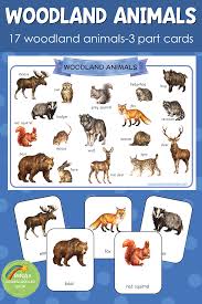Montessori Inspired Woodland Animals 3 Part Cards Preschool Homeschool Teacherspayteachers Ani Woodland Animals Animal Habitats Animal Activities For Kids