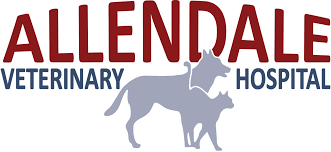 We did not find results for: Home Packanack Animal Hospital Wayne Nj Veterinarian