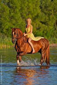 Pin On Horse