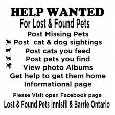 You can choose to receive email alerts for lost/found pets near you. Pets Lost Found Ontario Ohmy