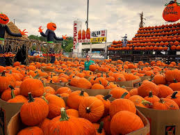 Vælg mellem et stort udvalg af lignende scener. Stew Leonard S In Yonkers Halloween Happenings