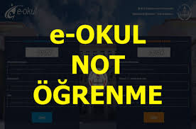 E devlet'ten karne notları nasıl öğrenilir? E Okul Notlari Ogrenme Ve E Okul Karne Notu Sorgulama E Okul A Nasil Girilir Gundem Haberleri