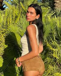 See Dua Lipa Show Her Sun Bum In Suede Hot Shorts