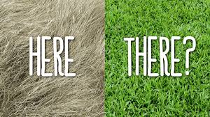 The Grass Is Always Greener On The Other Side Of The Fence Essay The Grass Is Greener On The Other Side Of The Fence Evil English