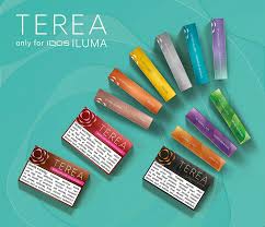 Buy Heets TEREA Indonesian Flavors Dubai, Abu Dhabi and UAE