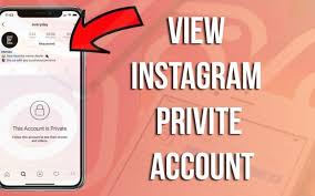 Privateinsta is a popular app to view private instagram profiles without an account. How To View Private Instagram Account Details In 2020 Instagram Private Account Instagram Private Account Viewer Instagram Private Profile