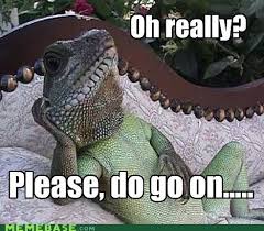 Uninterested Lizard Is Uninterested Funny Lizards Cute Animal Pictures Lizard Meme