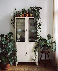 1.1 las siguientes ideas te pueden interesar sabias que las plantas que tenemos en nuestros espacios habitables no sólo decoran con elegancia y belleza nuestros. Decorar Con Plantas Ideas Para Llenar Tu Casa De Vida