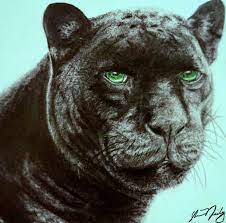 Pencil Drawing Panther Colors Edited On Iphone Awesome Art Pencildrawing Pencil Pencilart Greeneyes Panther Bla Animals Pencil Drawings Black Panther