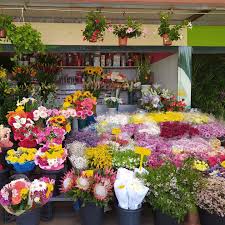 Floristería la laguna