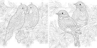 And on this set of free birds coloring pages for children, you will find a lot of different species from different countries and continents. Coloring Page Adult Coloring Book Budgerigar Parrots In Love Royalty Free Cliparts Vectors And Stock Illustration Image 94389311