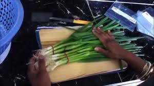 Get out your food processor and get creative. How To Freeze And Grow Shallots Spring Onions Scallions Youtube