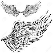 Alas de angel dibujo animado. Alas De Angel De Dibujos Animados En Blanco Y Negro Dibujadas A Mano Ilustraciones Vectoriales Clip Art Vectorizado Libre De Derechos Image 6238293