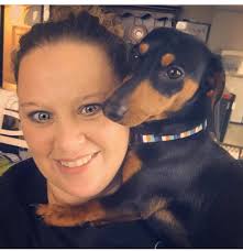 It's a long shot, but my mom thinks she seen a post that could have been my  boy…he is an in tact dachshund…PLEASE CONTACT ME IF YOU HAVE HIM OR SEEN HIM