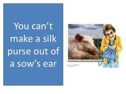 Haha True Southern Sayings Southern Expressions Southern Humor
