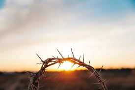 Digging Deeper with God I Am Not Ashamed of the Gospel! . . . Am I?