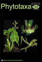 Image result for Lipocarpha rehmannii