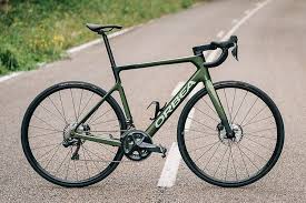 Image result for Orbea umbracula