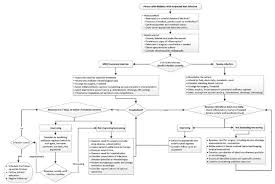 Image result for IDSA Diabetic Foot Wound Classification