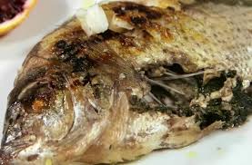 Ristorante re sole, gagliano del capo picture: Pescherie Di Puglia Ricette