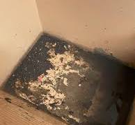 Mold in Sink Drain – Dangers, Triggers & How To Remove