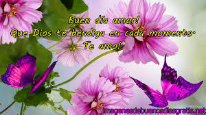 Imagenes De Buenos Dias Mi Amor Para Whatsapp Con Flores Rosadas Flores Rosa Flores Portadas Para Facebook